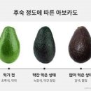 아보카도 후숙 까지 이미지