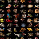 DDC PC ZONE 이미지