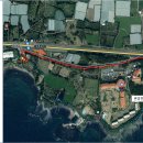 꿈에본꽃돼지 이미지