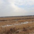 포승서로 이미지