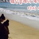 홍스웨딩 이미지