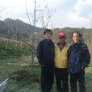 김양수농장 이미지