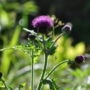 하늘소 농장 이미지