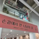 수원 무료 전시 추천｜국립농업박물관 소장품전 손끝에서 핀 나날의 꽃 관람 후기