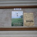 토지장터 이미지