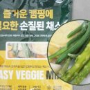 야채네법인