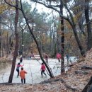 힐사이드배드민턴장 이미지