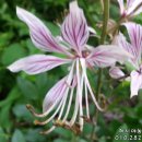 풍창농장 이미지