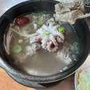 착한낙지 이미지