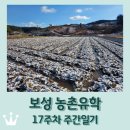 다락금솔밭공원 | 보성 농촌유학 17주차 주간일기 / 친정엄마와 보성 나들이 / 눈 내리는 주말