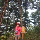 문막시장 이미지