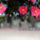특집_발라드_임윤주 시인의 내 나이 이제 육십_작사 임윤주_가수 쥬쥬_작 편곡 수노_기획 윤기영_제작유통 임윤주﻿ 이미지