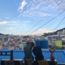 움직이는사진상점