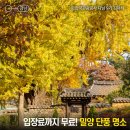 경남 밀양 단풍 명소 추천 금시당 잔도길 달팽이 전망대 표충사 무료입장 실시간