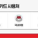 누리관광여행사 이미지
