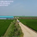 통정1리 이미지