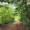 옥정 생태숲공원 이미지