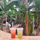 하나아파트 뒷편 산책로 입구 이미지