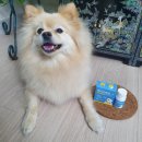 제이동물병원 이미지