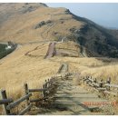 제 357차 울산 신불산 산행안내 이미지
