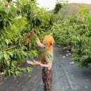 초이농장 이미지