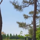 문암생태공원(바베큐장) 이미지