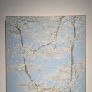 매화도서관 | 🌸봄에 꼭 가야 할 광양 여행, 허달재 매화 전시 후기