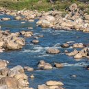 내린천자원 이미지