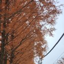 장안로26번길 | 장태산자연휴양림 , 하나칼국수