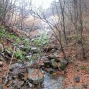 말구리농장 이미지