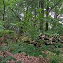 한국콘도사우나 | 욕심을 버리고 마패봉에서 중간 탈출의 지혜