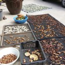 시골마당 이미지