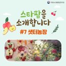 YB농장 이미지