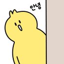 청주출장세차 - 청주시 상당구 호미로167번길 37 | 청주출장세차