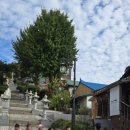 공항초등학교 이미지