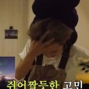 아델라 한옥 이미지