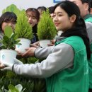 희망의 나무 이미지