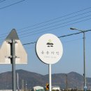 유유자적 | 남해 유유자적 카페유자 유자카스테라 포장 후기