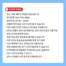 한림엔지니어링 - 금정구 구서로 2 | 여행] 뻔한 바다 구경은 그만! 야자수 사이를 뚫고 달리는 900m 짜릿한 질주, 제주 한림 액티브파크 카트 🏎️
