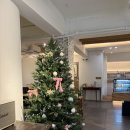 커피늘보 | 늘보씨의 프랑스 브런치 후기 | 브르타뉴의 점심 세트