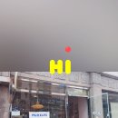 머즐스