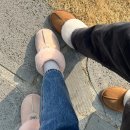 옥란 농장 네이버블로그