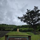 제주 자락 이미지