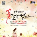 꽃길만걷자6 | 인제 가을꽃축제 기간 장소 입장료, 인제에서 꽃길만 걷자