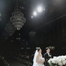 그레이스파티