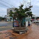 전등사매표소(동문) 이미지