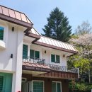 로뎅853-1 이미지