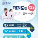 경희대박사 태산태권도 이미지