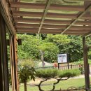 라비앙펜션 | 청평 계곡 독채펜션 라비앙로즈 내돈내산 후기