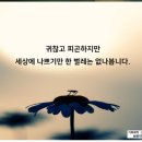 7월 22일(월) 출석부-지구 상에서 가장 위험한 동물, 모기 이미지